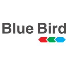 BLUE BIRD - ZANE