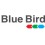 BLUE BIRD - ZANE